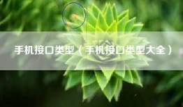 手机接口类型（手机接口类型大全）