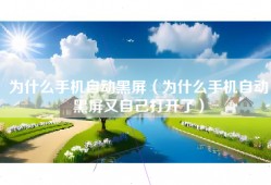 为什么手机自动黑屏（为什么手机自动黑屏又自己打开了）