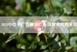 2024小红书广告聚光广告投放全攻略全指南