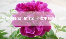外贸平台推广是什么_外贸平台推广话术