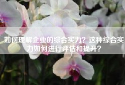 如何理解企业的综合实力？这种综合实力如何进行评估和提升？