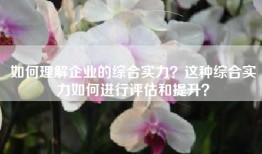 如何理解企业的综合实力？这种综合实力如何进行评估和提升？