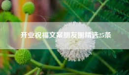 开业祝福文案朋友圈精选25条