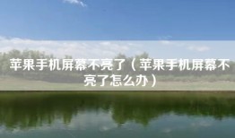 苹果手机屏幕不亮了（苹果手机屏幕不亮了怎么办）