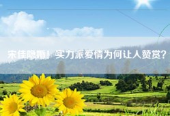 宋佳隐婚！实力派爱情为何让人赞赏？