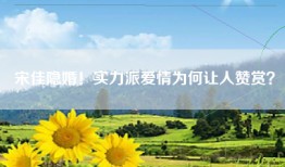 宋佳隐婚！实力派爱情为何让人赞赏？