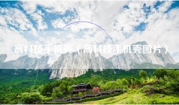 高科技手机壳（高科技手机壳图片）