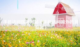 手机访问国外网站（手机访问国外的浏览器）