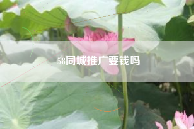 58同城推广要钱吗