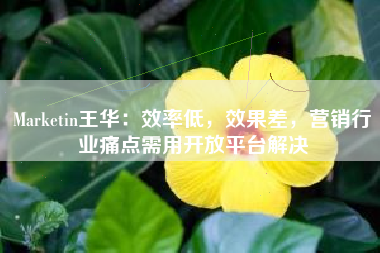 Marketin王华:效率低,效果差,营销行业痛点需用开放平台解决