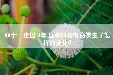 双十一走过14年,互联网和电商发生了怎样的变化?
