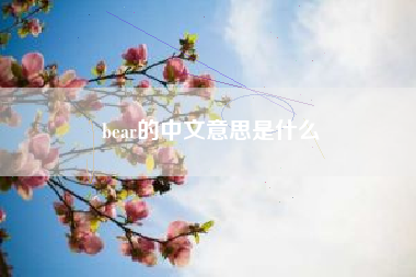 bear的中文意思是什么