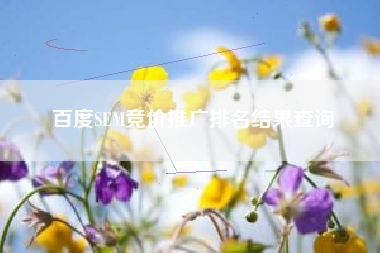 百度SEM竞价推广排名结果查询