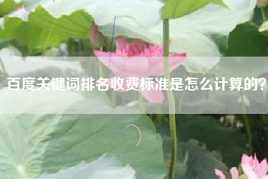 百度关键词排名收费标准是怎么计算的?
