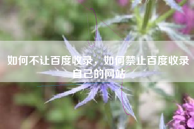 如何不让百度收录,如何禁止百度收录自己的网站
