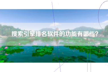搜索引擎排名软件的功能有哪些?