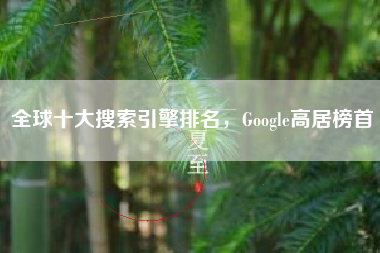 全球十大搜索引擎排名,Google高居榜首