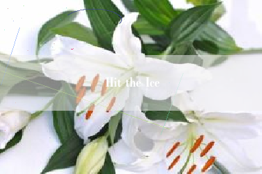Hit the Ice