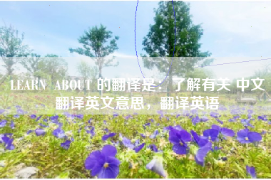 LEARN ABOUT 的翻译是:了解有关 中文翻译英文意思,翻译英语