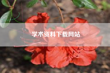 学术资料下载网站