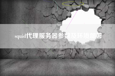 squid代理服务器参数及环境部署