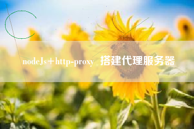nodeJs+http-proxy 搭建代理服务器