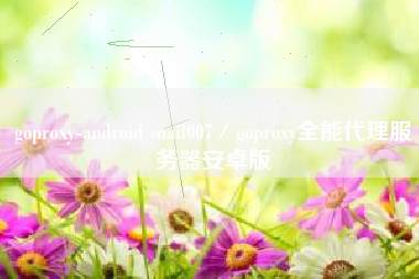 goproxy-android snail007/goproxy全能代理服务器安卓版