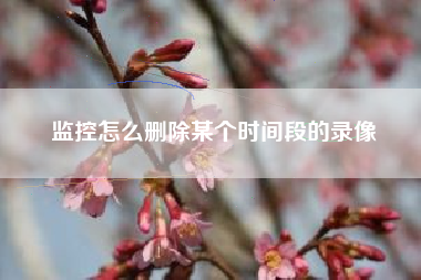 监控怎么删除某个时间段的录像