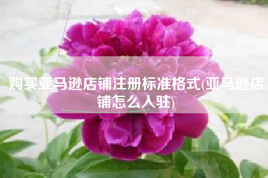 购买亚马逊店铺注册标准格式(亚马逊店铺怎么入驻)