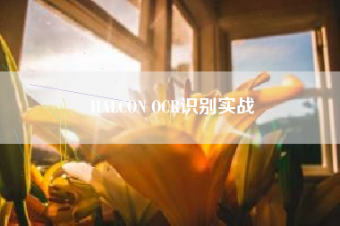 HALCON OCR识别实战