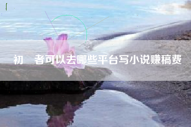 初學者可以去哪些平台写小说赚稿费
