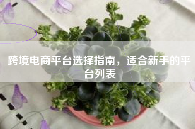 跨境电商平台选择指南,适合新手的平台列表