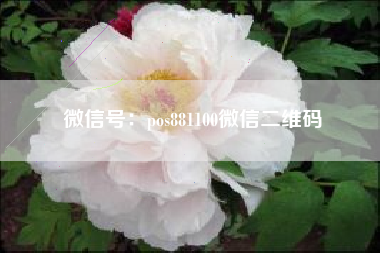 微信号:pos881100微信二维码
