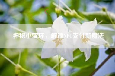 神秘小蓝环,解锁NFC支付新魔法