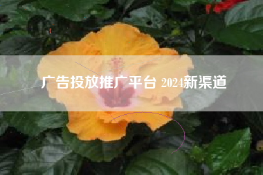 广告投放推广平台 2024新渠道