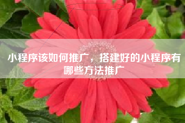 小程序该如何推广,搭建好的小程序有哪些方法推广