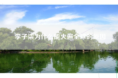 李子柒为什么能火遍全球的原因