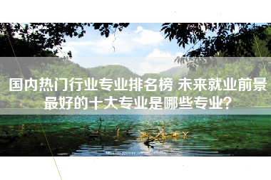 国内热门行业专业排名榜 未来就业前景最好的十大专业是哪些专业?