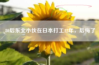80后东北小伙在日本打工12年,后悔了