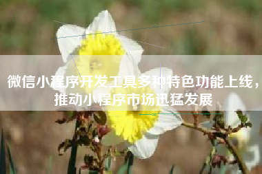 微信小程序开发工具多种特色功能上线,推动小程序市场迅猛发展
