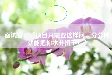 面试官:“项目只需要这样问,分分钟就能把你水分挤干!”
