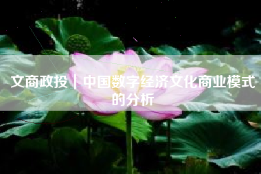 文商政投|中国数字经济文化商业模式的分析