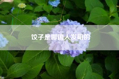饺子是哪国人发明的