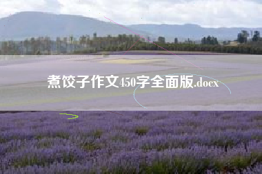 煮饺子作文450字全面版.docx