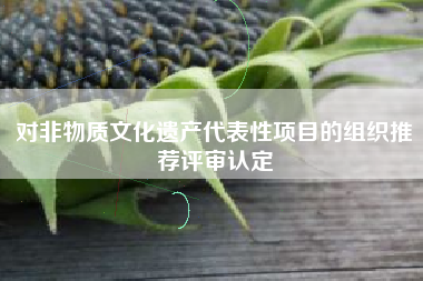 对非物质文化遗产代表性项目的组织推荐评审认定