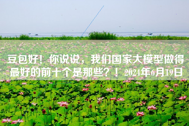 豆包好!你说说,我们国家大模型做得最好的前十个是那些?!2024年6月19日