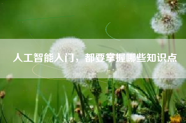 人工智能入门,都要掌握哪些知识点