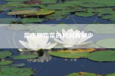 菜市场卖菜的利润有多少
