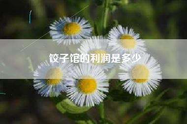 饺子馆的利润是多少
