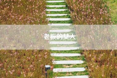 老板的女人